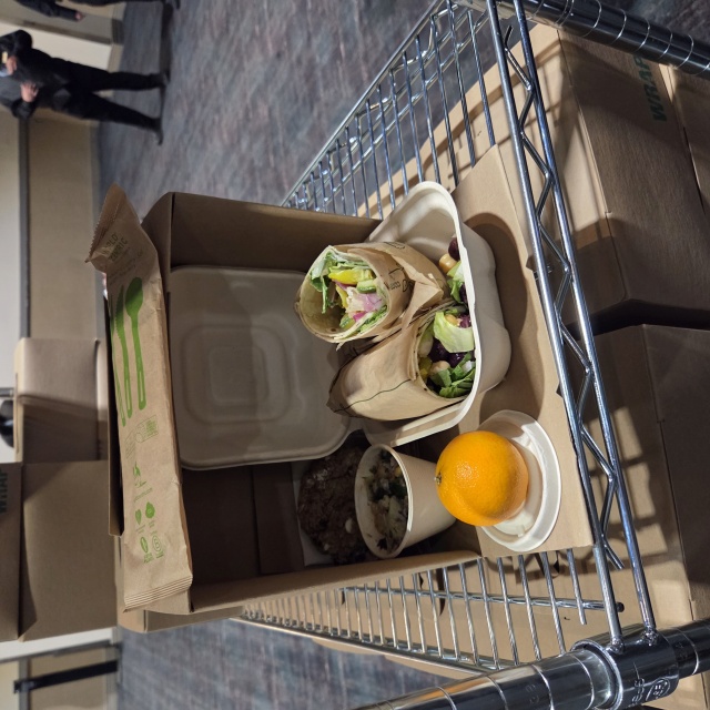 サンプルではなく本物